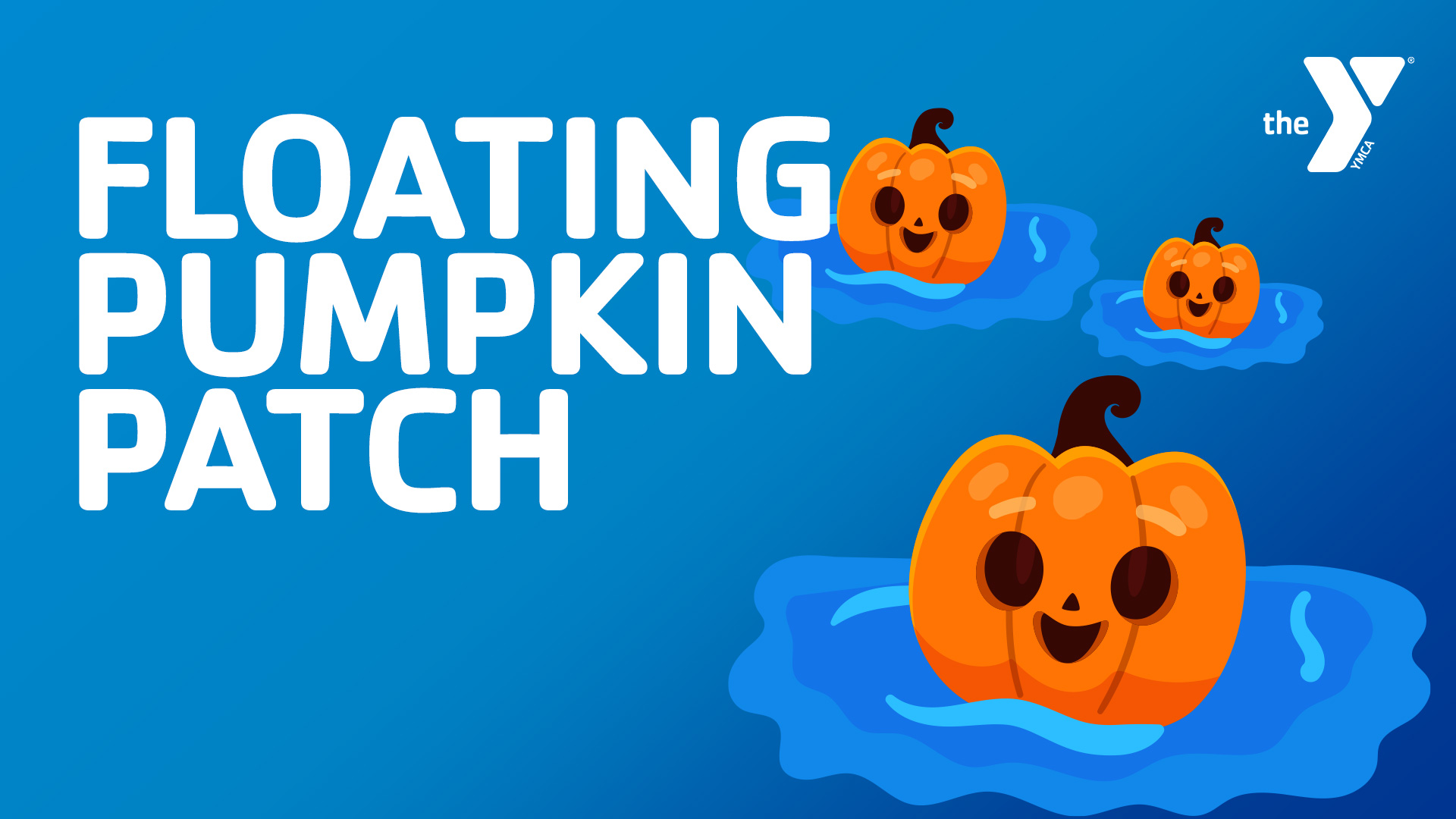 Featured image for “Floating Pumpkin Patch”